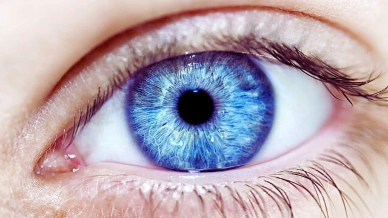 blue eyed people common ancestor study