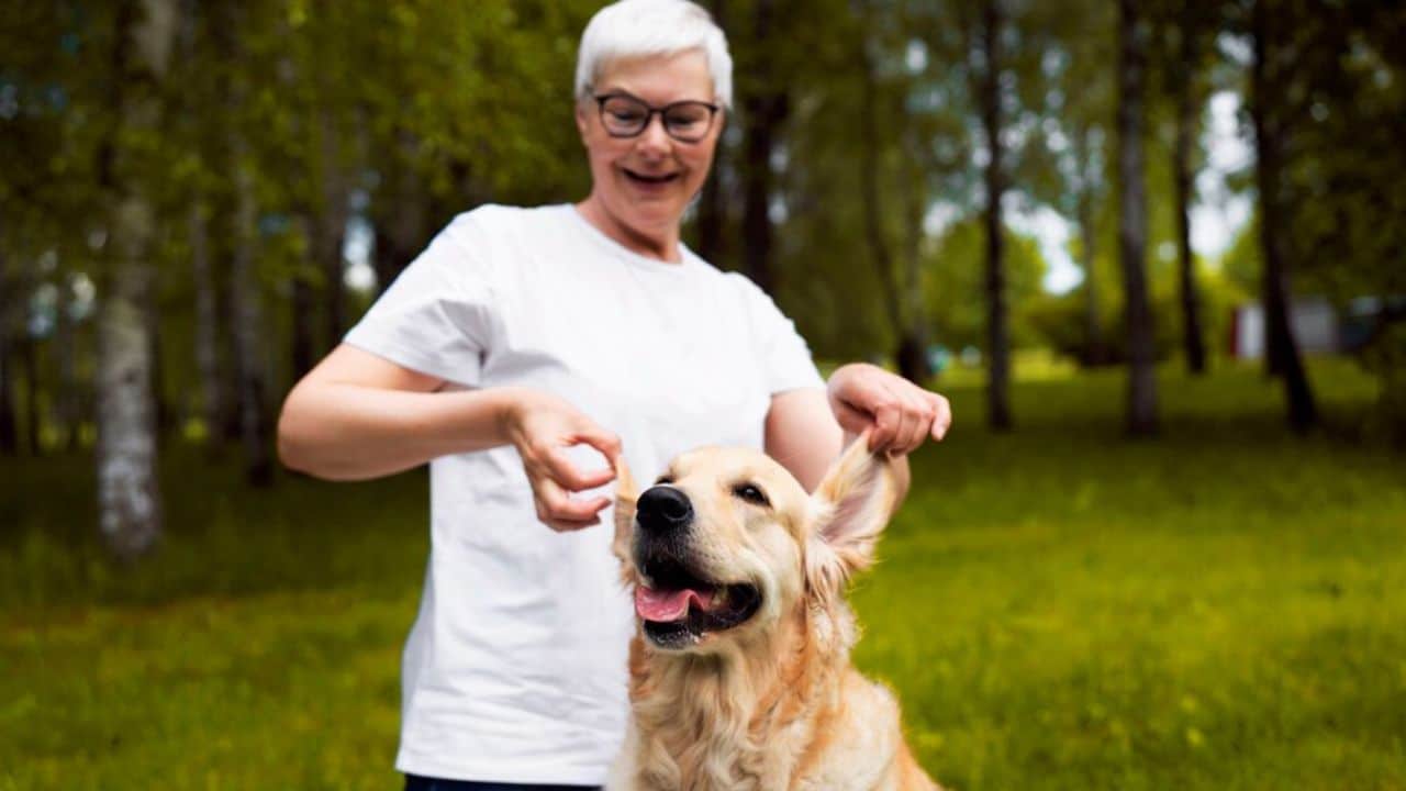 senior dog and cat care tips