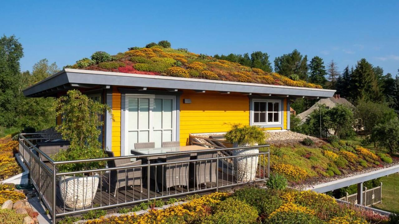 Green Roof Cost