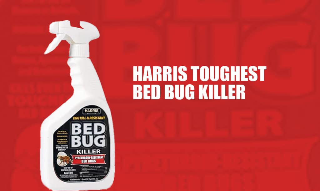 Harris Toughest Bed Bug Killer
