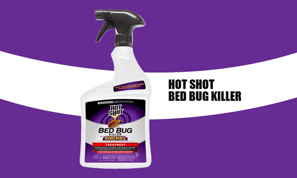 Hot Shot Bed Bug Killer