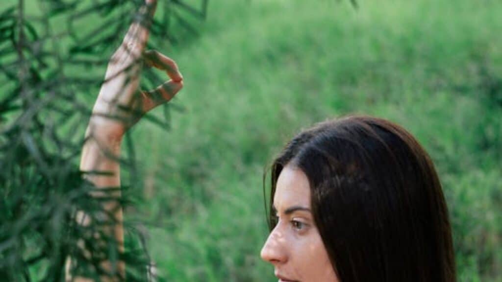 Discover how chiropractic care can accelerate your recovery after an accident. Learn about the benefits, techniques, and what to expect from chiropractic treatments to restore your health.