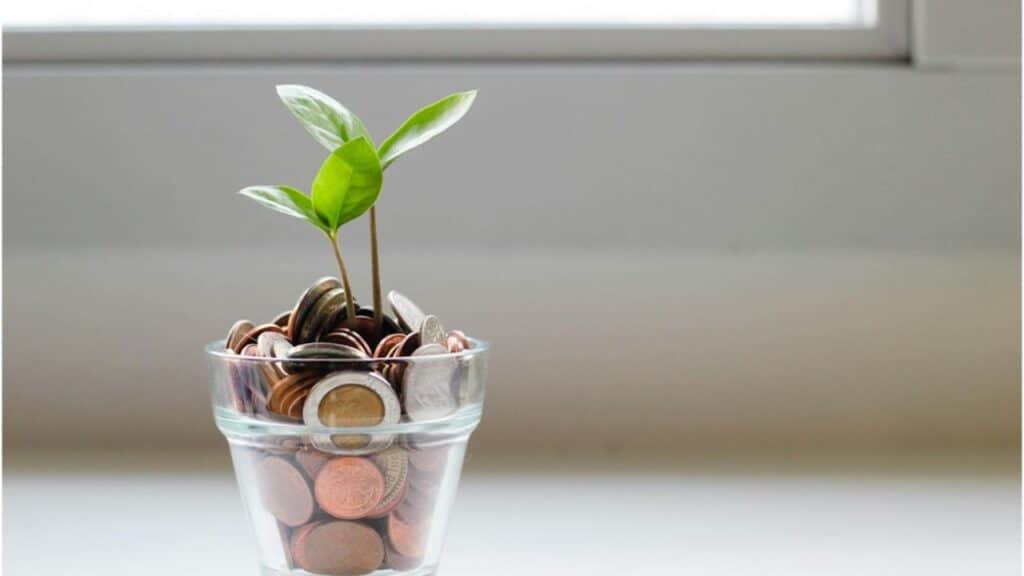 How To Take Stock of Project Financials