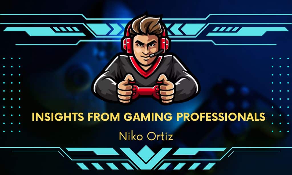 Insights from Gaming Professionals