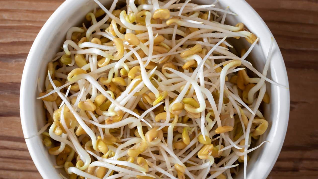 Methi Sprouts