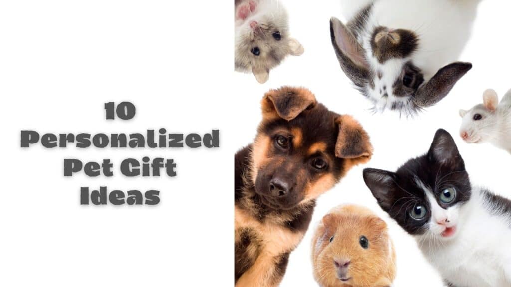 personalized pet gifts ideas