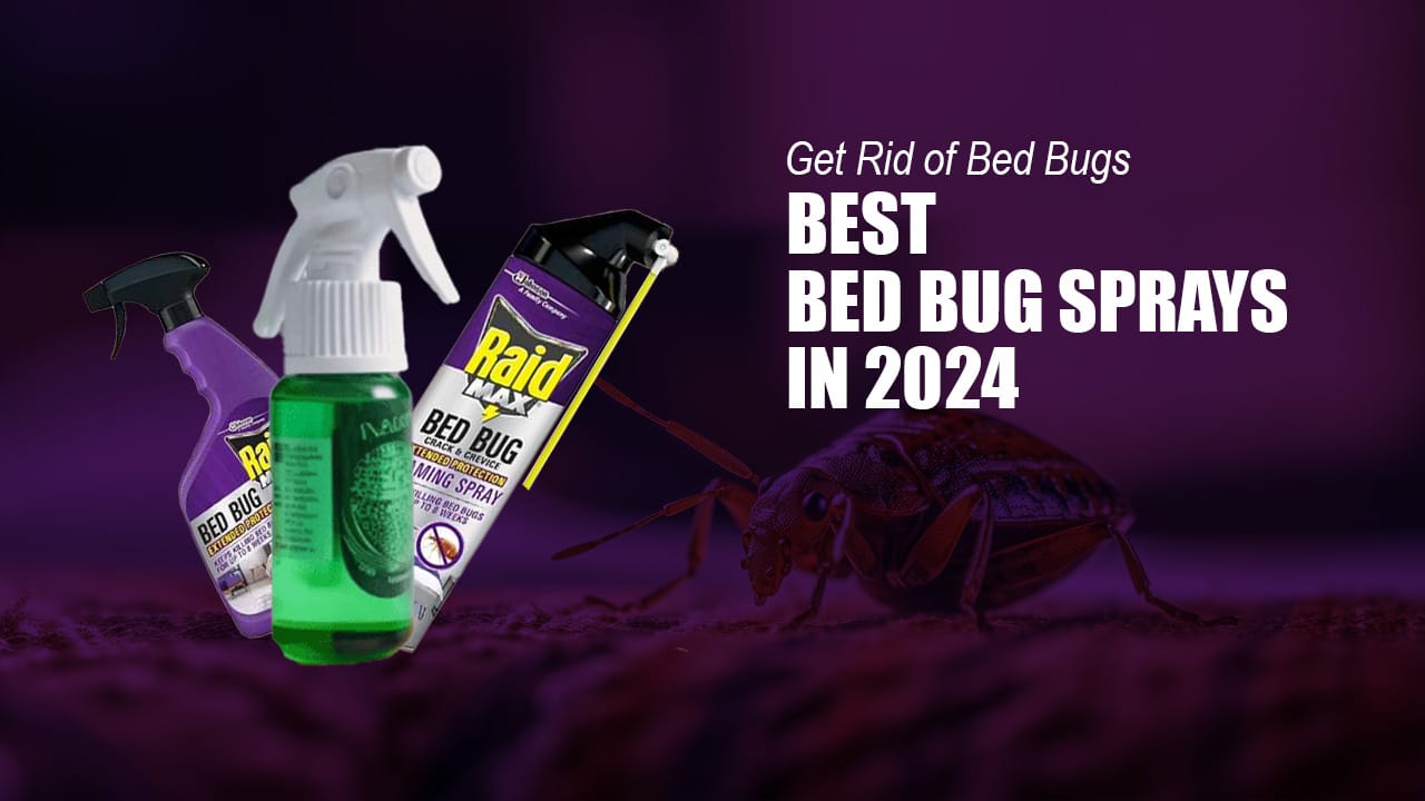 10 Best Bed Bug Sprays in 2024