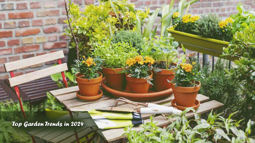 Vegetable Gardening Tips for Beginners