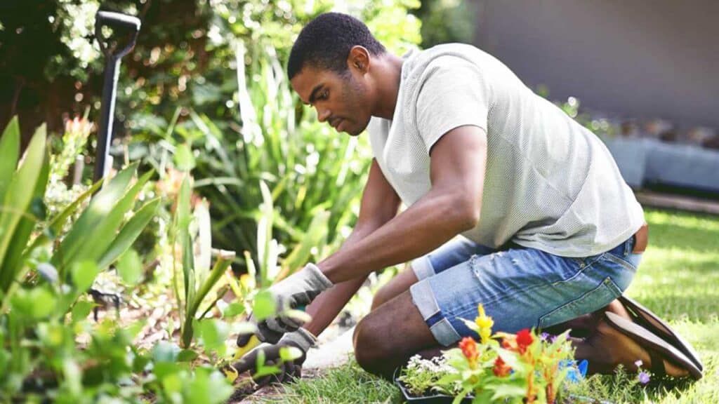 Grow the Right Crops at the Right Time