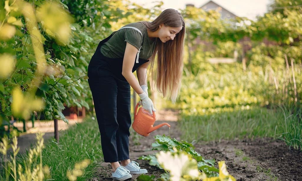 Woman watering plants in a garden