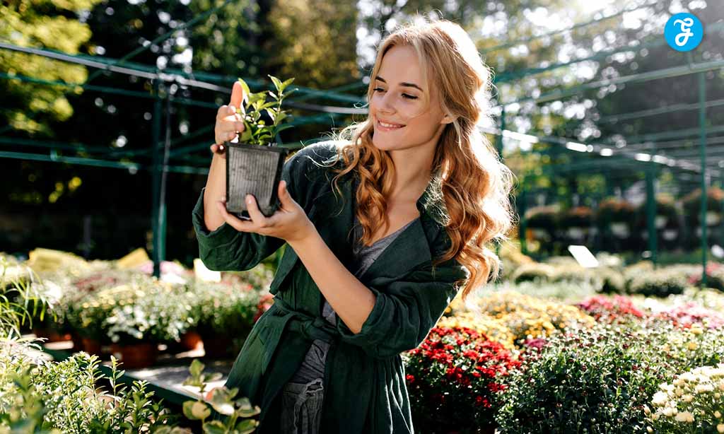 Raised Bed Beauty