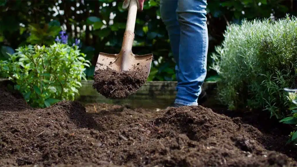 Gardener digging soil in a garden with a shovel