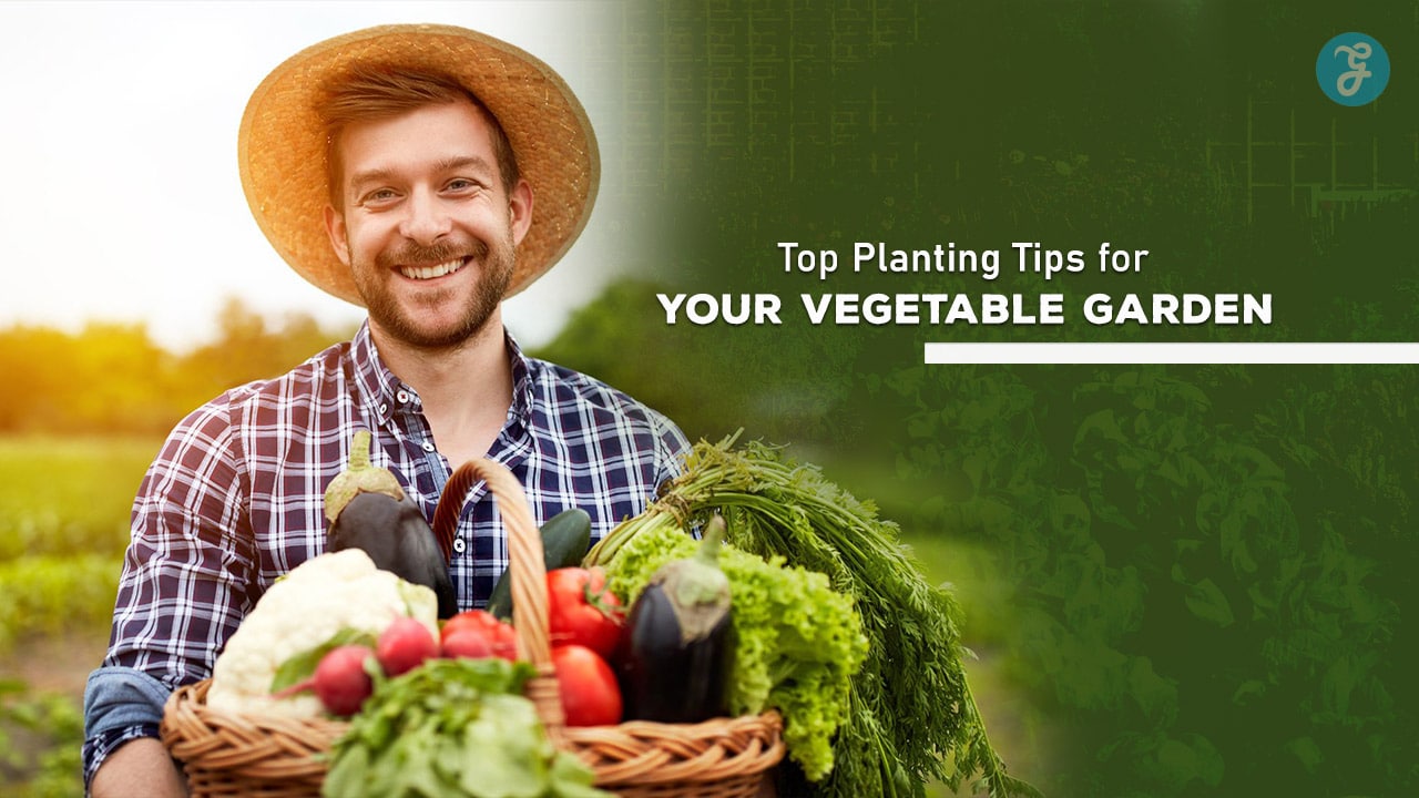 Top 15 Planting Tips for Your Vegetable Garden: Essential Strategies for Success