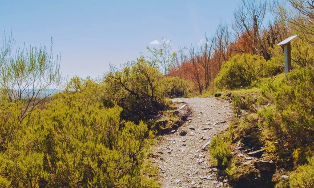 Jeju Olle Trail