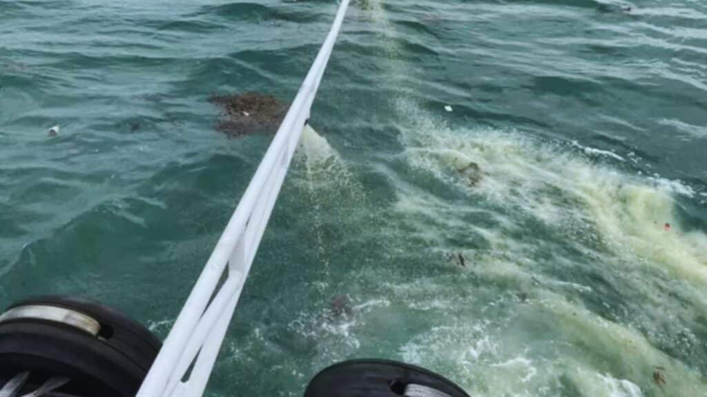 Singapore Shell Pipeline Oil Spill