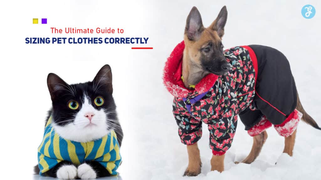 The Ultimate Guide to Sizing Pet Clothes Correctly