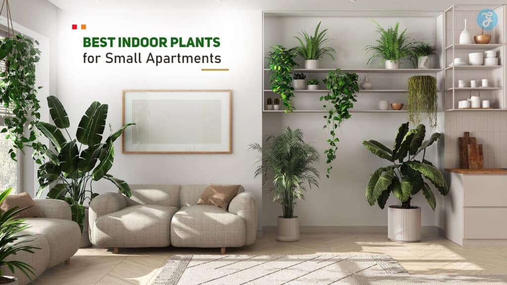 Best Indoor Plants for Small Apartments