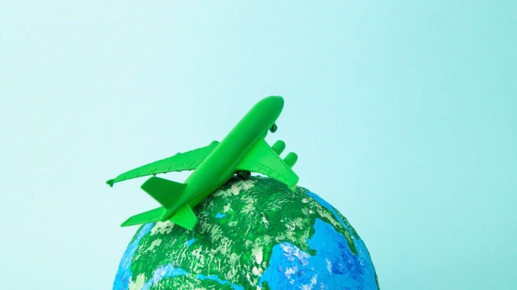 Eco-Friendly Travel Agencies in the USA