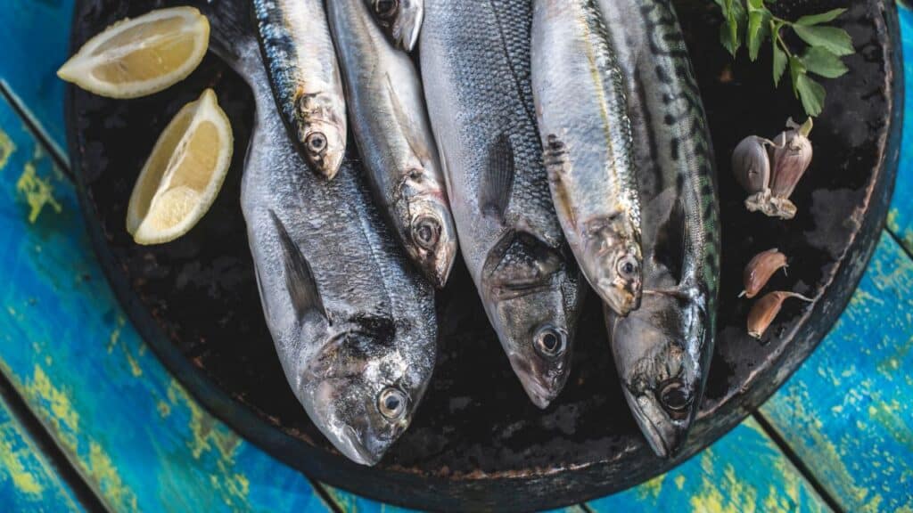 Fatty Fish