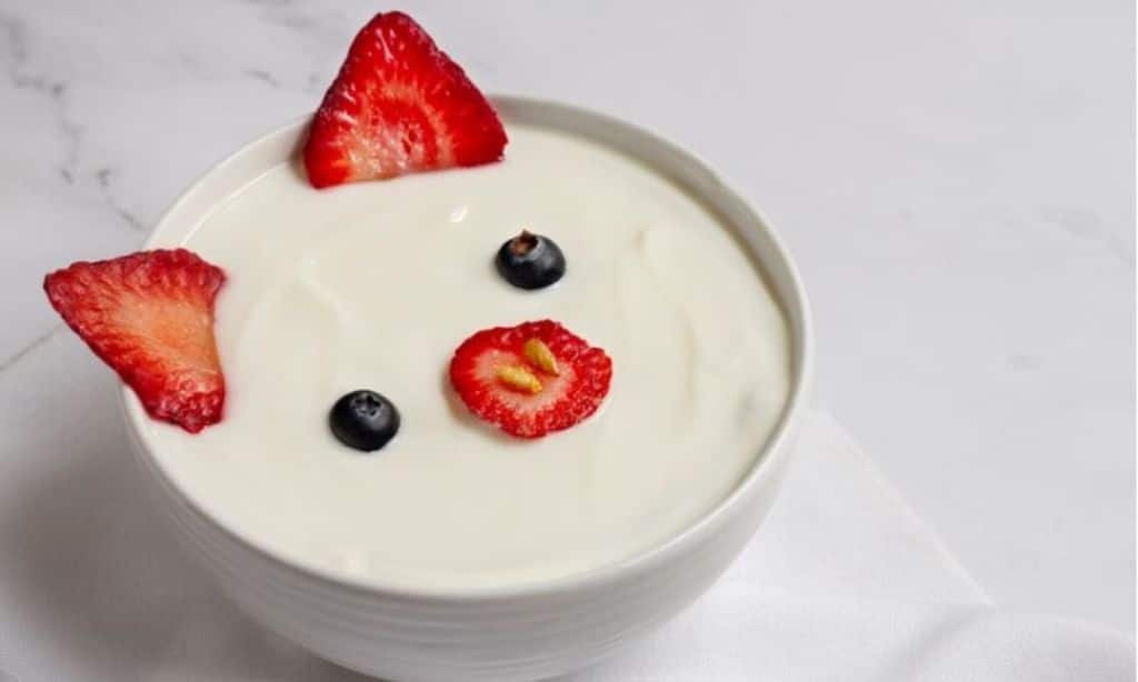 Plain Yogurt