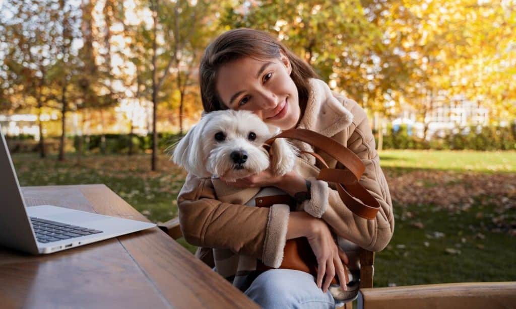 Pet Insurance Companies in the UK