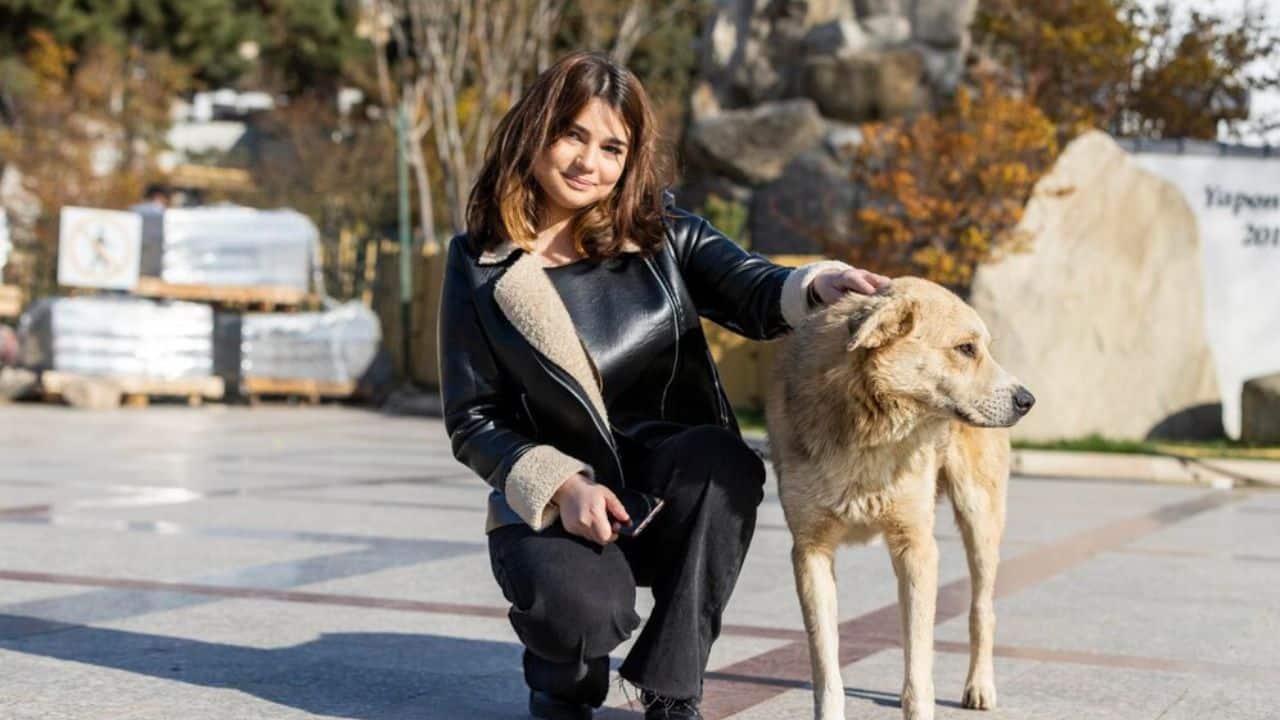 Cost of Hiring a Dog Bite Lawyer in New Jersey