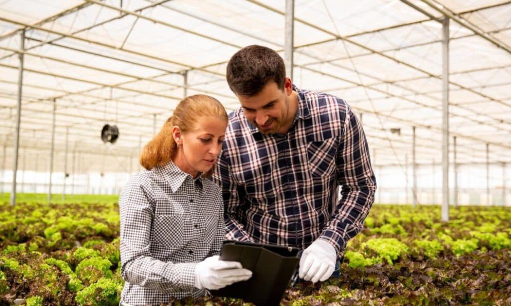 Best practices for starting a small farm in the USA