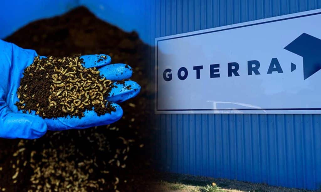 Green technology startups in Australia