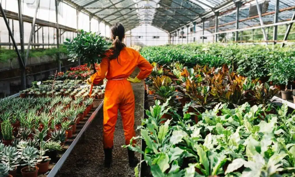 Integrated Pest Management (IPM)