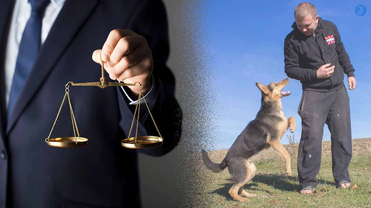 Dog Bite Lawyers in Pennsylvania