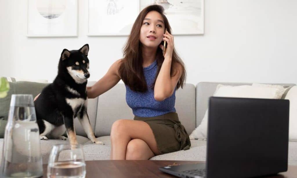 Monitor Your Pet’s Reaction Closely