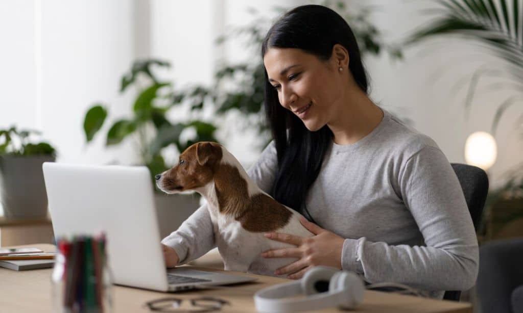 Pet Insurance Companies in the UK