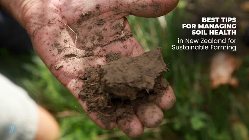 tips for managing soil health in New Zealand