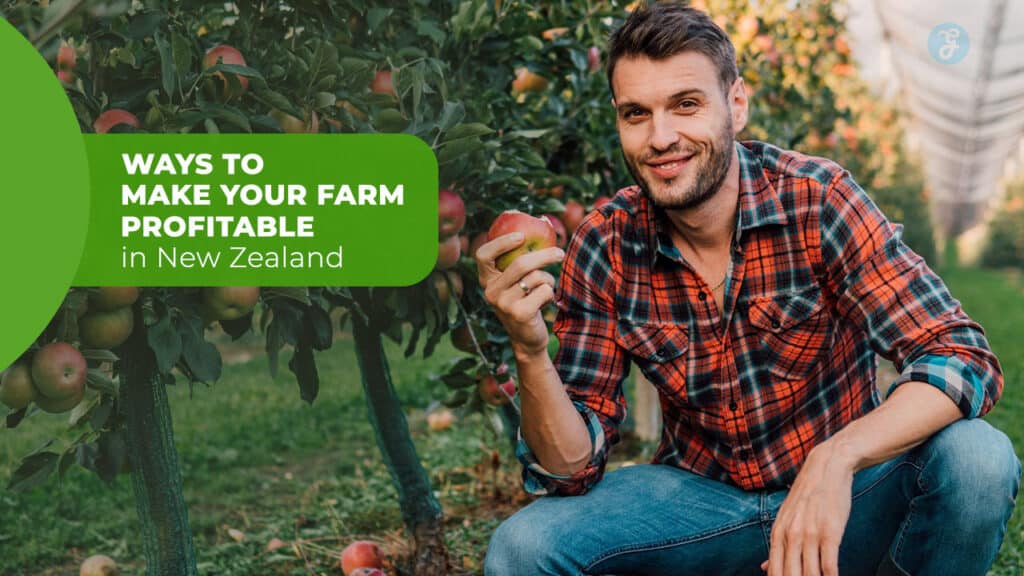 Make Your Farm Profitable in New Zealand