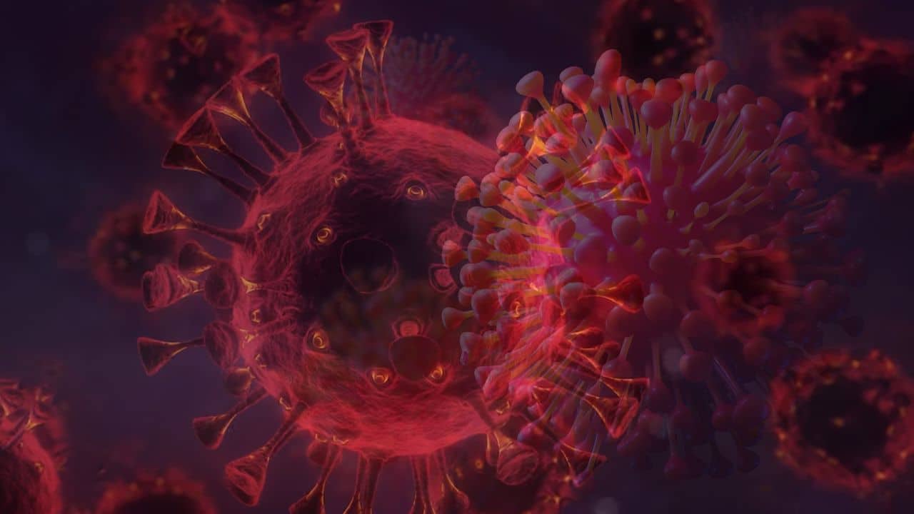 HMPV Virus in Karnataka