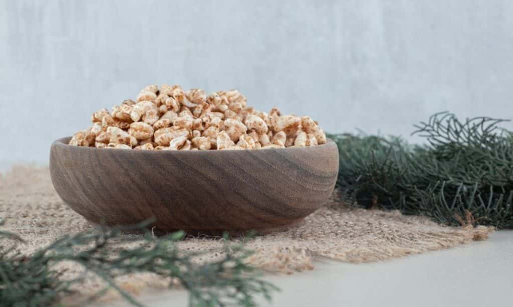 Naturally Fresh Walnut-Based Litter