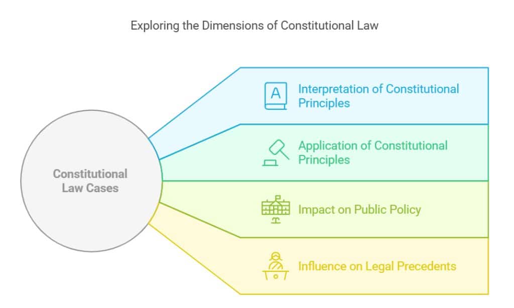 What Are Constitutional Lawyers