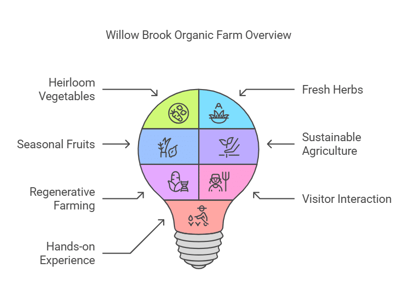 Willow Brook Organic Farm