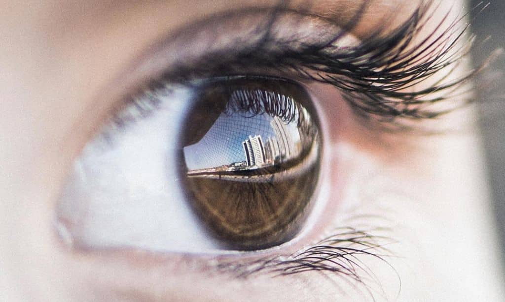 Worst Foods for Your Eyes