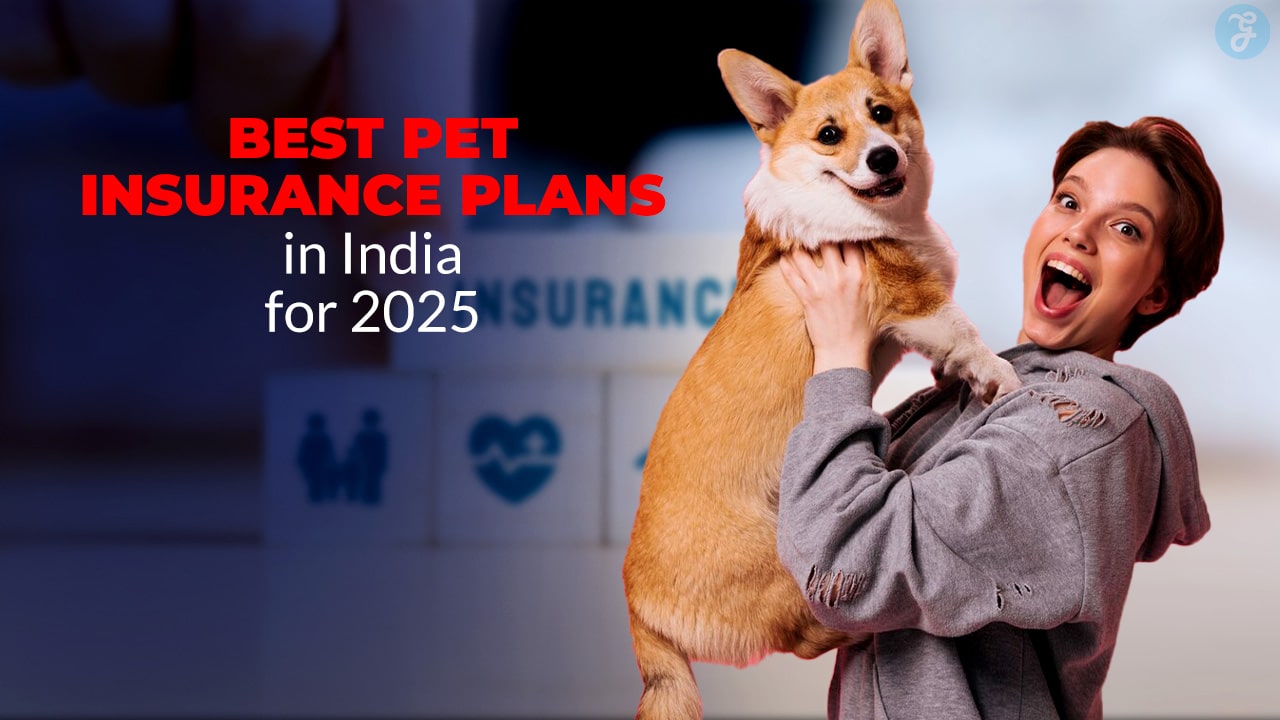 Best Pet Insurance Plans in India