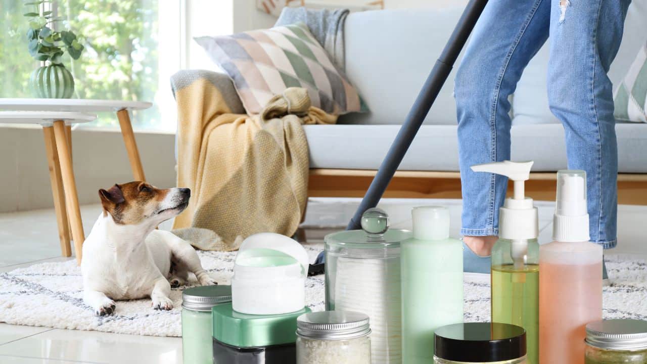 Best Green Cleaning Products to Keep Your Pet's Space