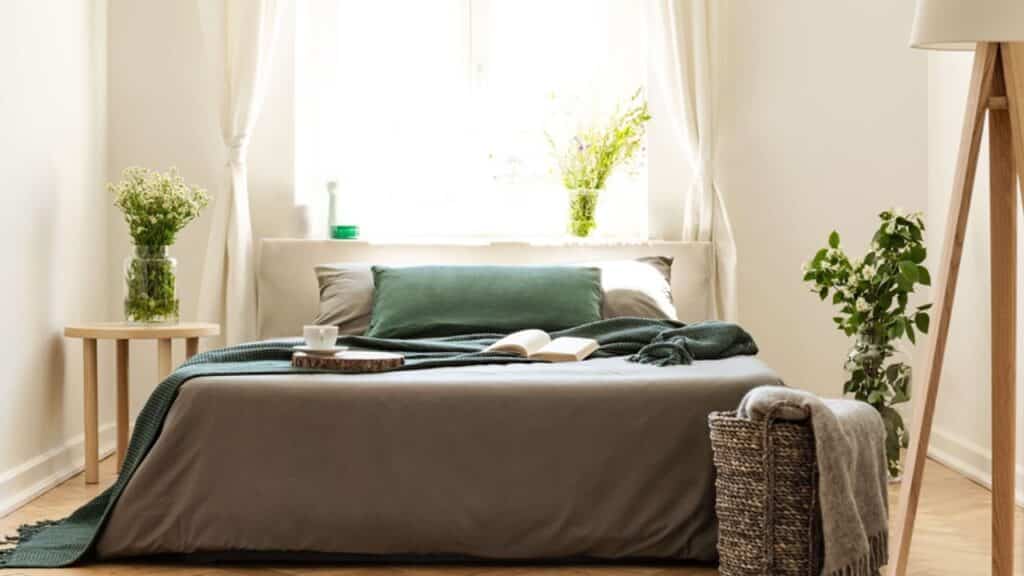 Mastering Energy Efficiency at Home