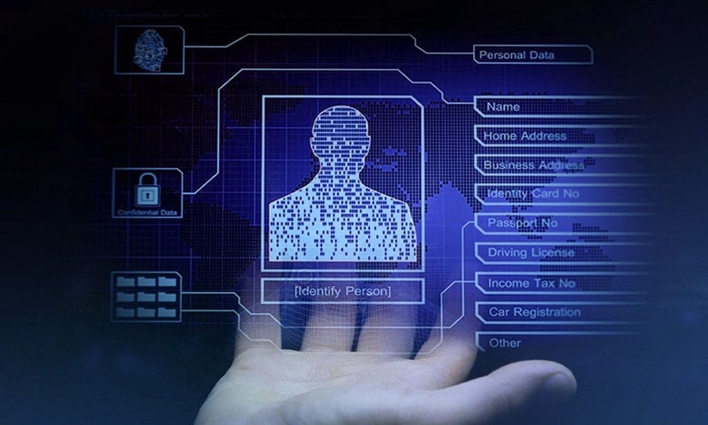 Digital Identity and Privacy Enhancement