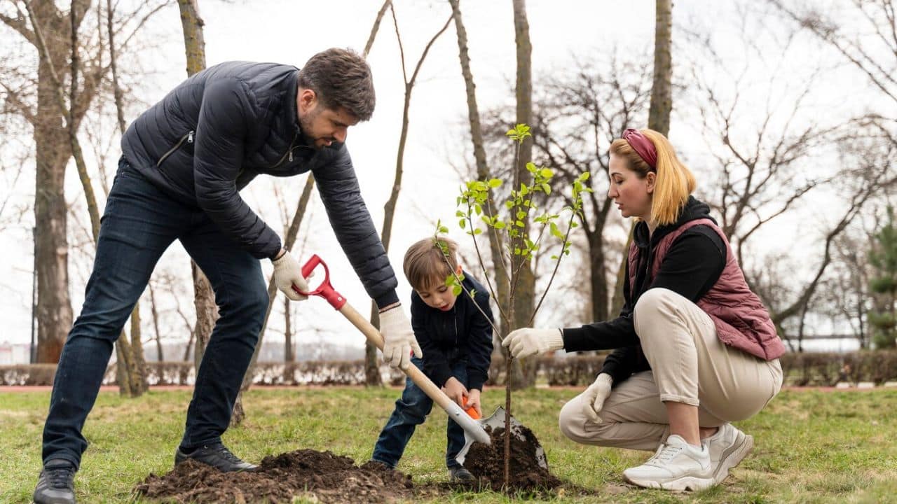 How You Can Benefit From Building a Family Tree