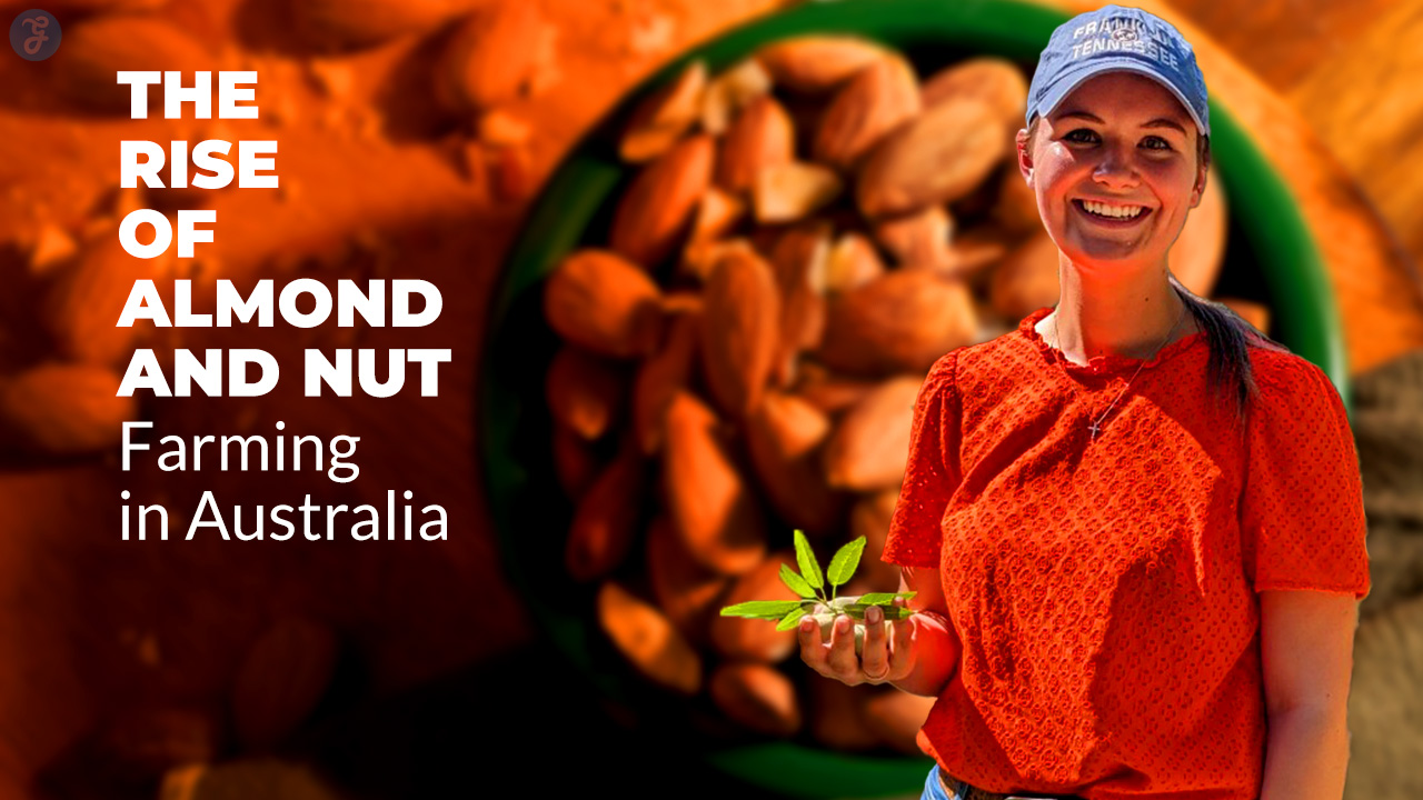 Rise of Almond and Nut Farming in Australia