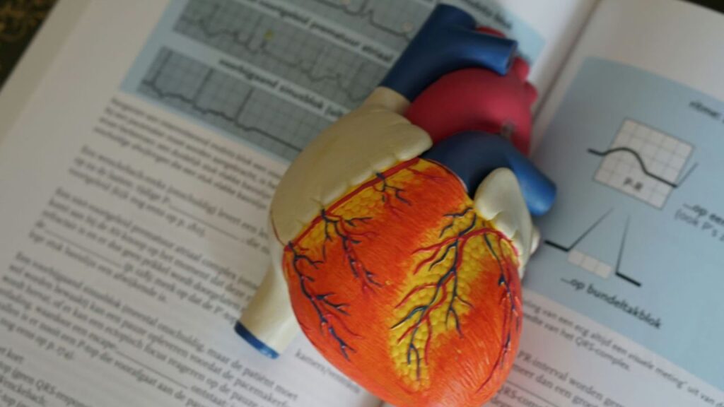 Mistakes to Avoid in Your Medical School Application