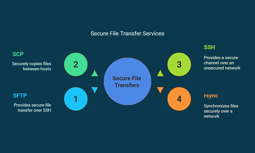 Benefits of Money-Back Guarantees and Free Trials