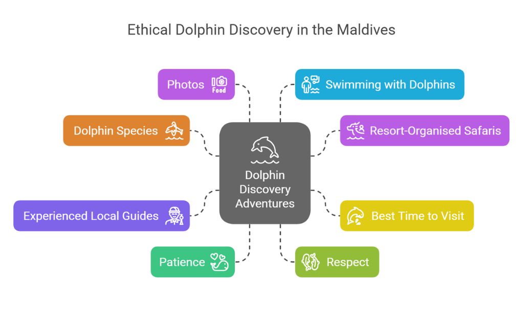 Choose an Experienced Local Guide 