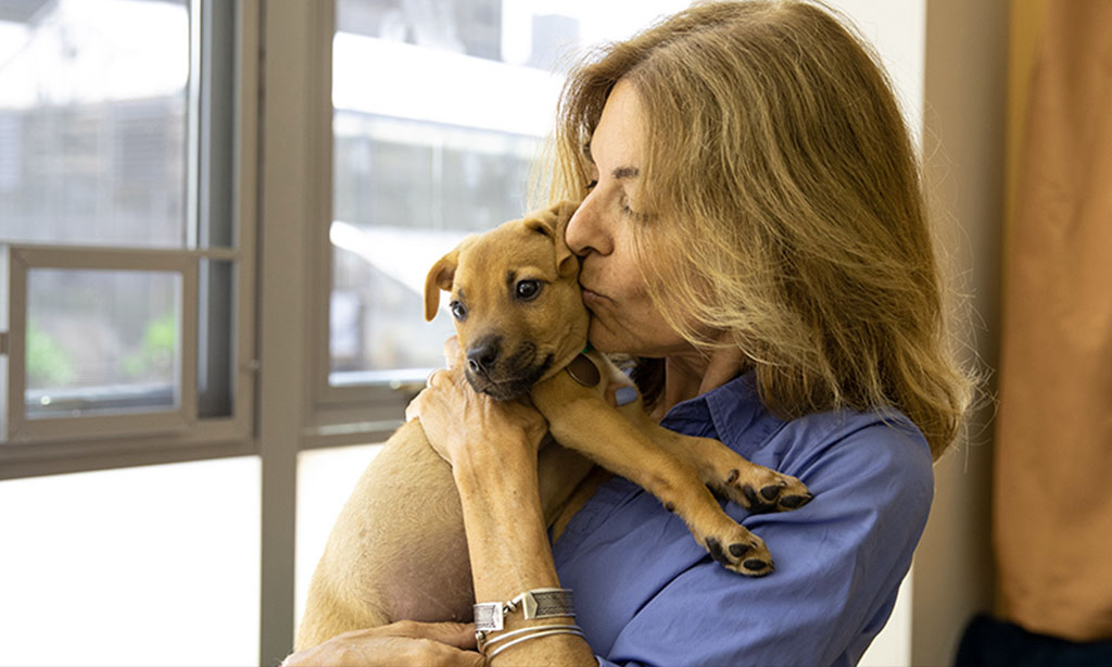 Customizable Plans for Individual Pet Needs