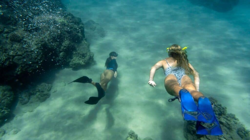 Marine Life Adventures for Families for an Unforgettable Maldives